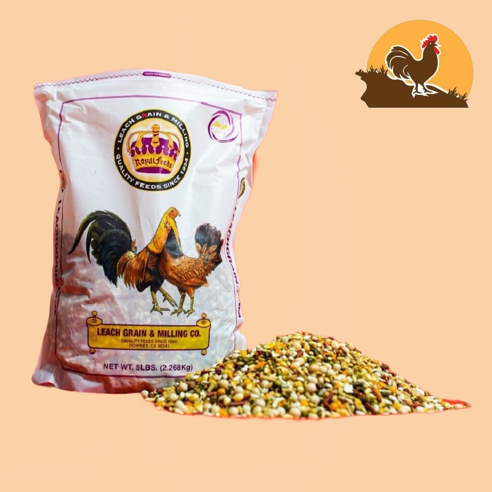 NGŨ CỐC MỸ DÀNH CHO GÀ TƠ ( bịch 2,26kg )