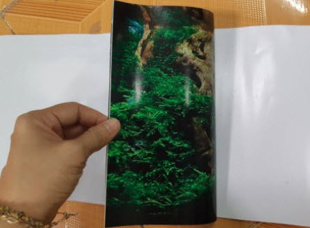 Tranh phông nền 3D dán hồ cá Aquarium tank - 008