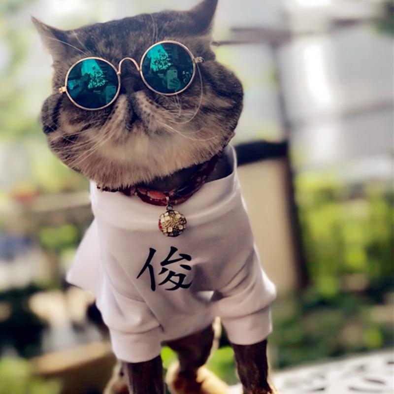 Kính mắt thời trang cho chó mèo - Kính nhỏ