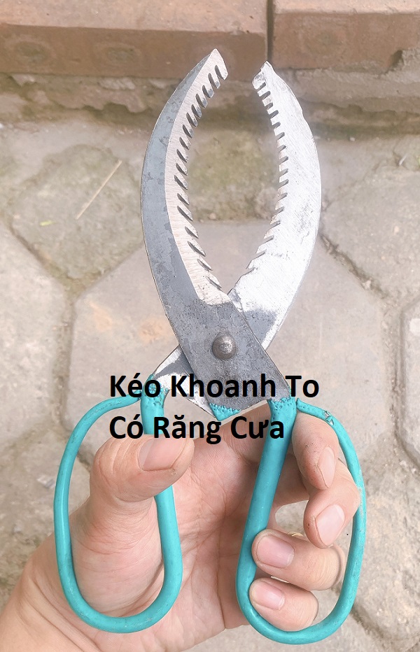Kéo khoanh vỏ cây chuyên dụng - dụng cụ khoanh vỏ cây ăn quả - bưởi - cam - quý - chanh - vải - nhãn
