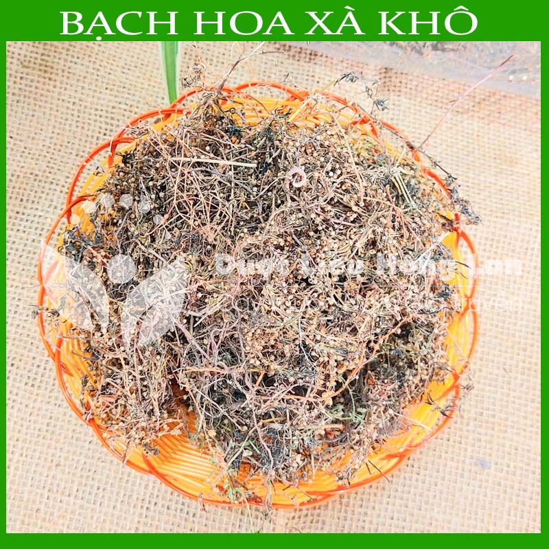 Combo 2kg cây bạch hoa xà thiệt thảo khô - công ty dược liệu hồng lan