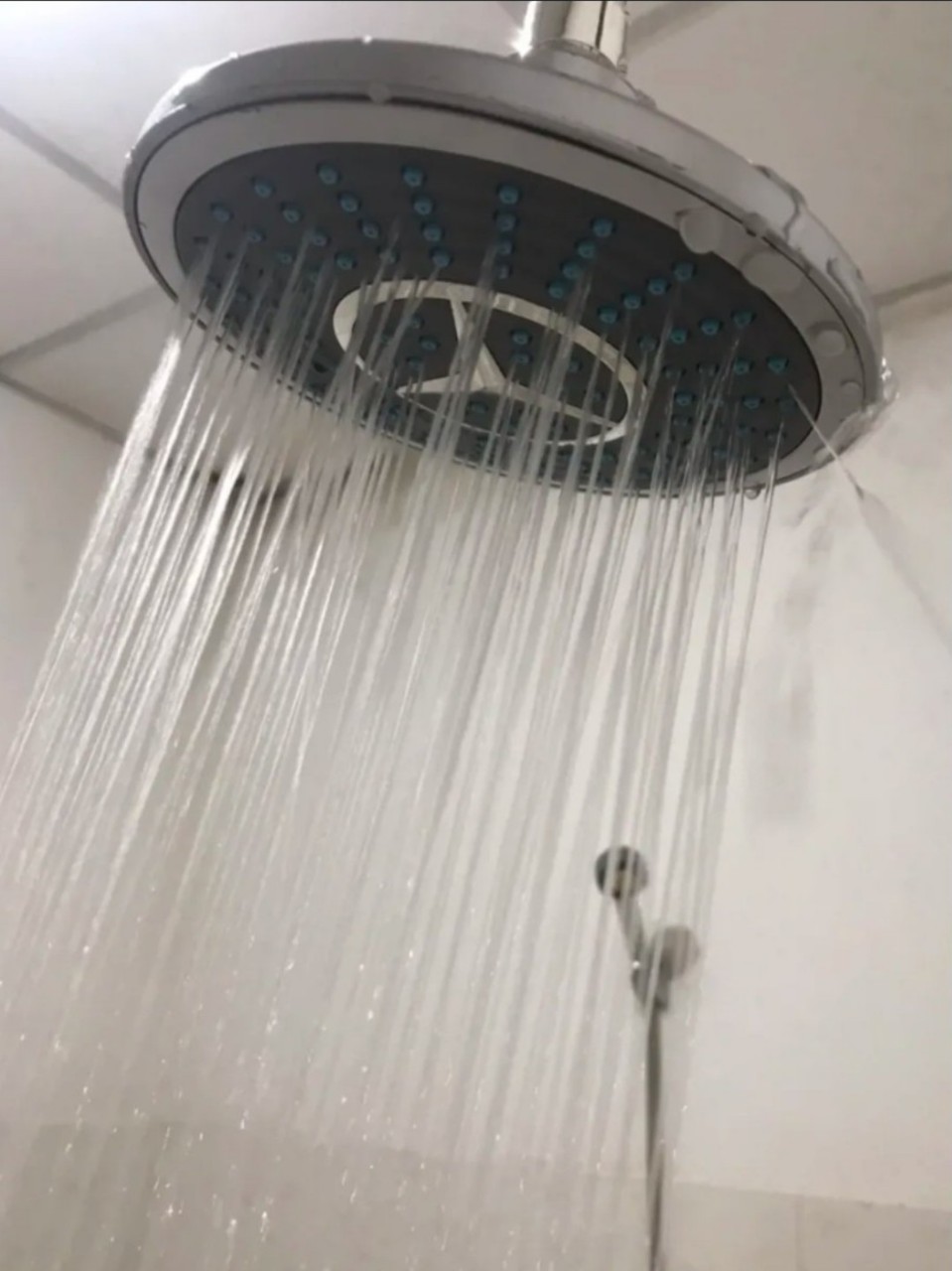 BÁT SEN TẮM ĐỨNG