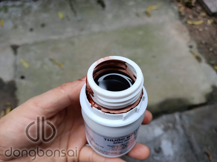 Combo 5 Chai dung dịch bôi lũa bonsai 150ml