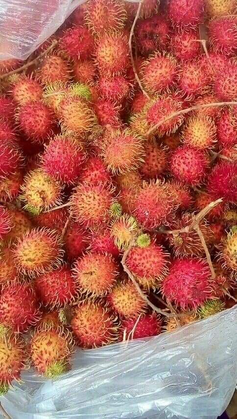 Mứt chôm chôm 500g