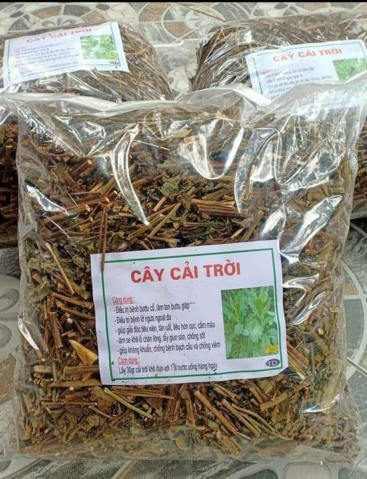 (Dược liệu khô) Cây Cải trời (còn có tên Kim đầu te) phơi khô 500g