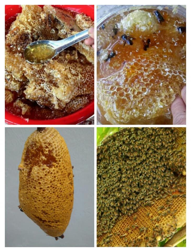 500ml Mật ong hoa nhãn nguyên chất 100%