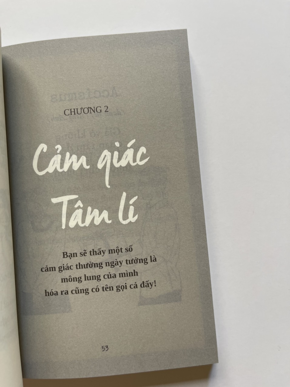 Sách – Từ Điển Cảm Xúc Thế Giới Tập 2