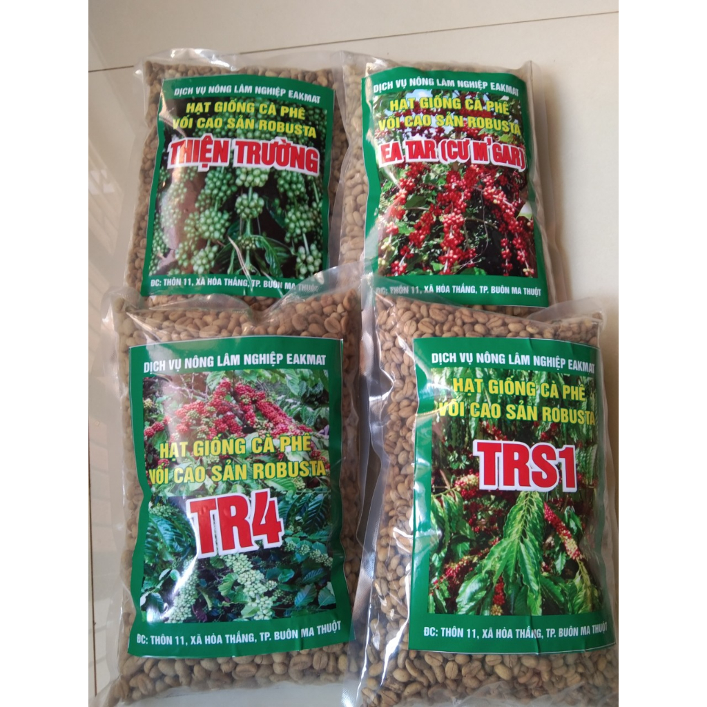 1KG HẠT GIỐNG CÀ PHÊ EA TAR (CƯ MGAR) gói 1kg
