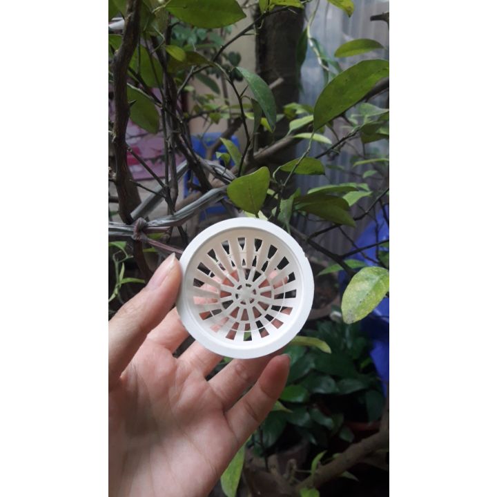 100 Rọ nhựa thủy canh trồng rau (cốc trồng rau)