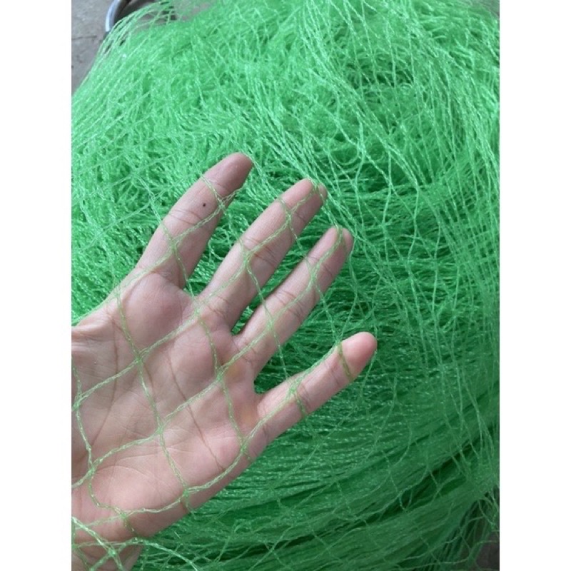 Lưới cước nhựa, lưới trồng cây, lưới giăng dàn dây leo khổ rộng 2 mét