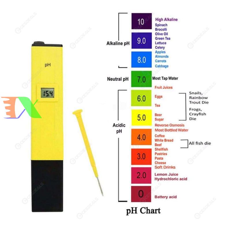 Solution increase the pH phu-500 ML, pH Up, regulating align the pH of the water