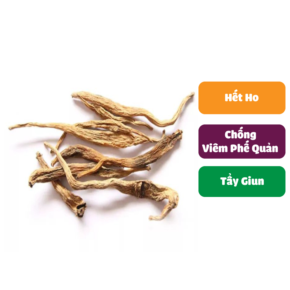 [New Arrivals] Dried Cypress Root 100g (Fragrant, Clean) - Tan Phat Herbal Medicine