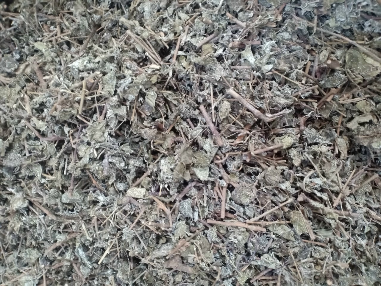 CHÈ DÂY HỖ TRỢ DẠ DÀY 1KG