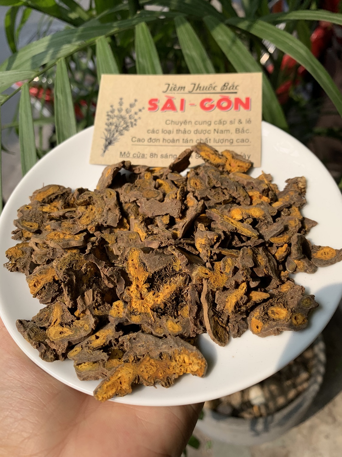 [HCM]CỦ HOÀNG LIÊN 100gram Tiệm Thuốc Bắc Sài Gòn