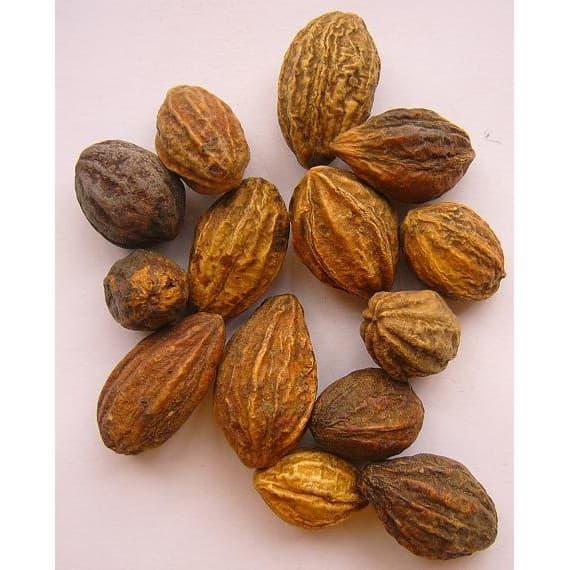Quả kha tử 100g