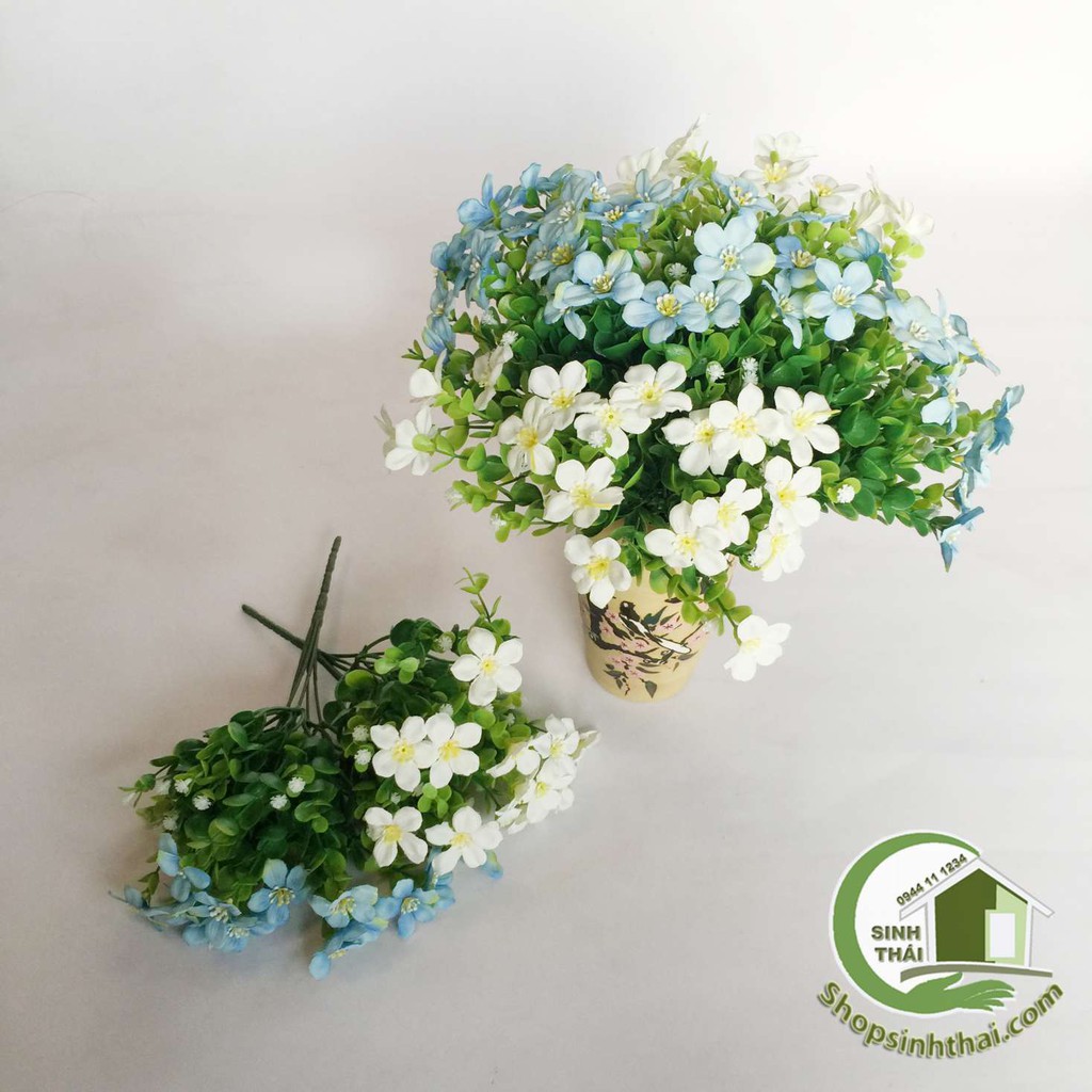 [HCM]Bụi cây hoa lài tây cao 33cm - chọn màu