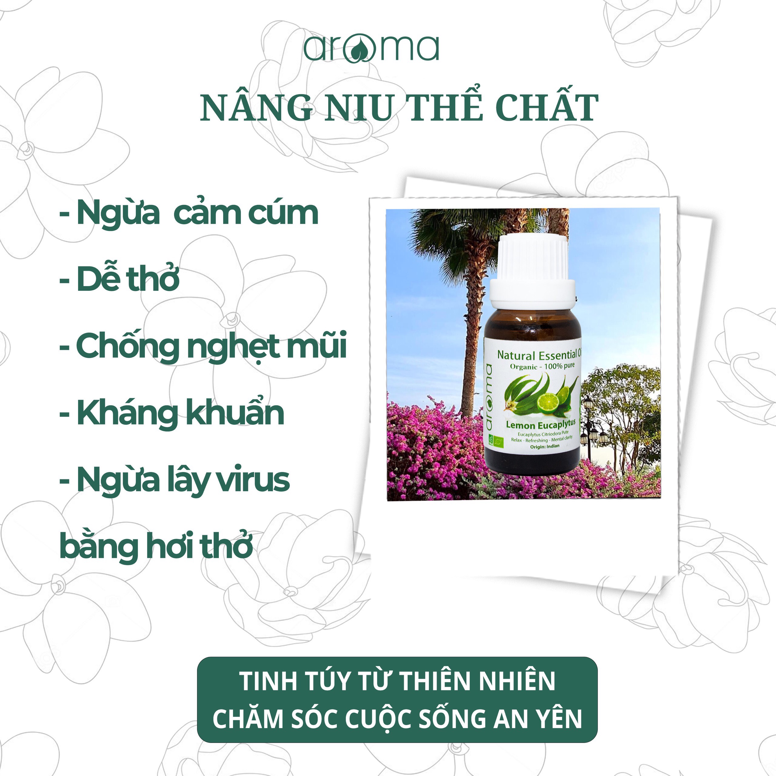 Hương trái cây Aroma Dứa thơm - 10ml/30ml