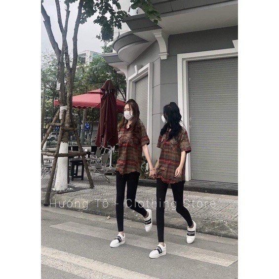 Sơ mi kẻ đỏ tay cộc Chất kẻ thô