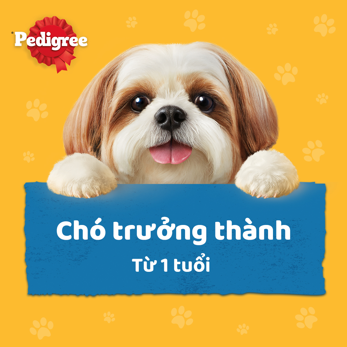 Bộ 12 Túi Thức Ăn Cho Chó Lớn PEDIGREE Dạng Sốt 130g.