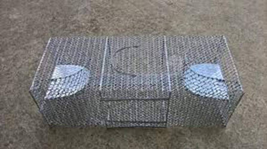 Bẫy Chuột Thông Minh 2 Cửa Tự Động