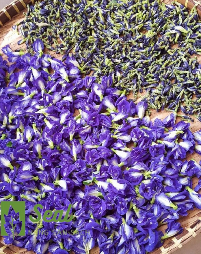 HOA ĐẬU BIẾC KHÔ 20G