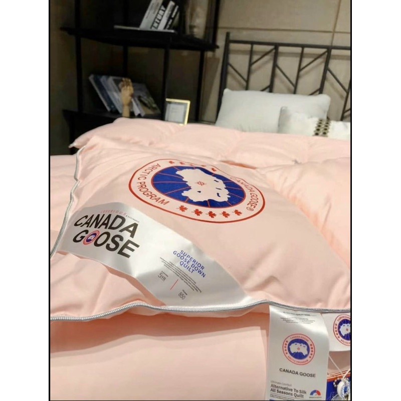 chăn bông lông vũ canada goose 2mx2m3 nhập khẩu