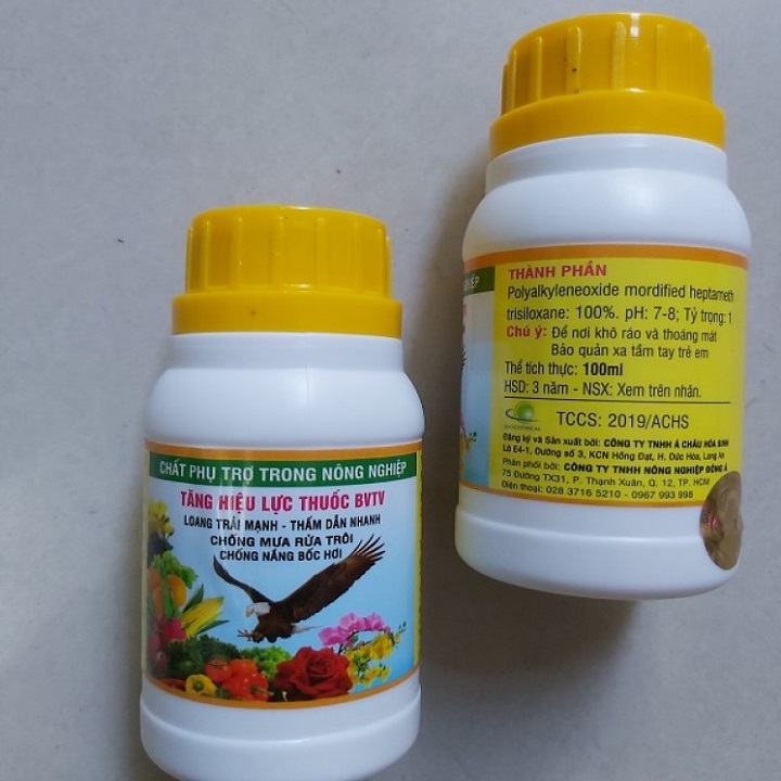 Chất Lưu Dẫn Đại Bàng