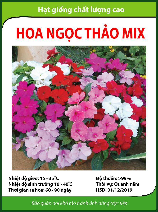 5 Hạt giống hoa Ngọc thảo
