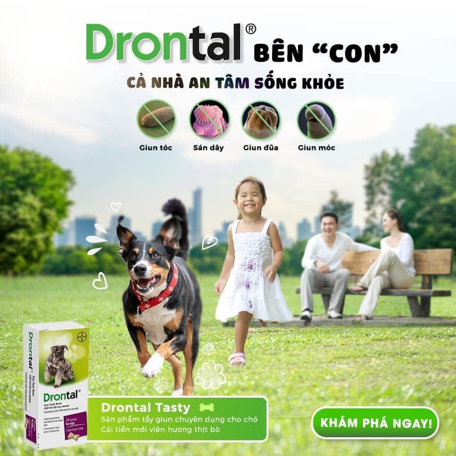 [VỈ 6 VIÊN] Xổ Giun Sán Drontal Cho Chó (Pháp - Hàng Công Ty Chính Hãng) - [Nông Trại Thú Cưng]