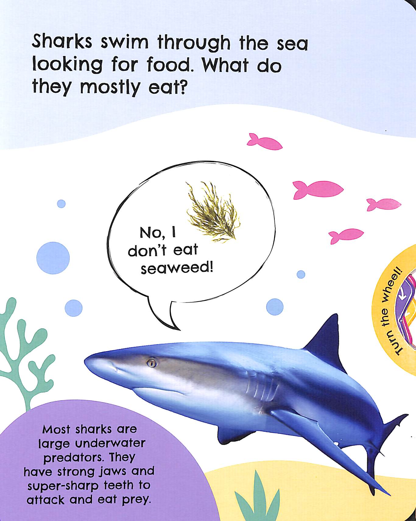 BOOKMEDI - First Facts Farm Sharks