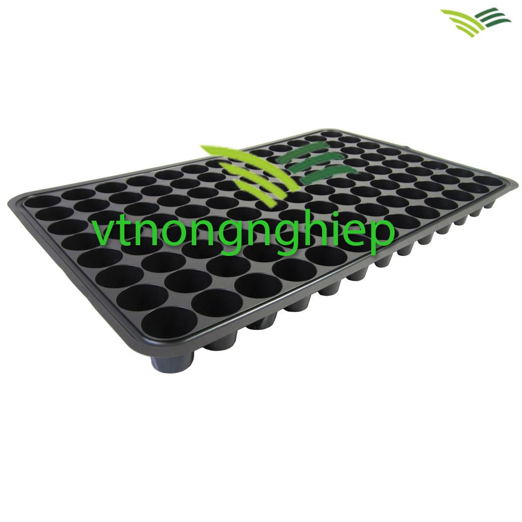 10 khay nhựa ươm cây 104 lỗ