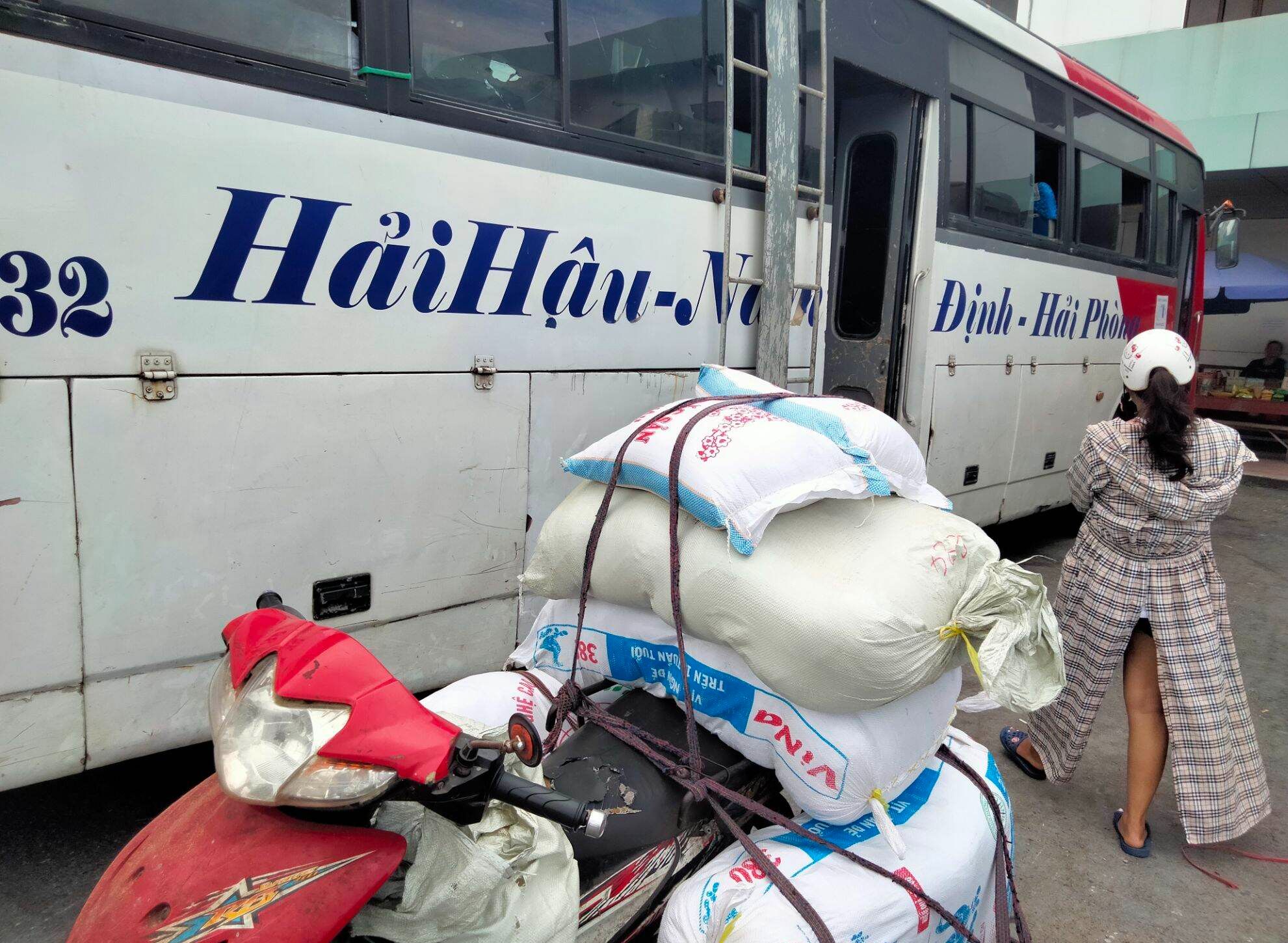 Gạo tám xoan (Đặc sản Hải Hậu Nam Định)
