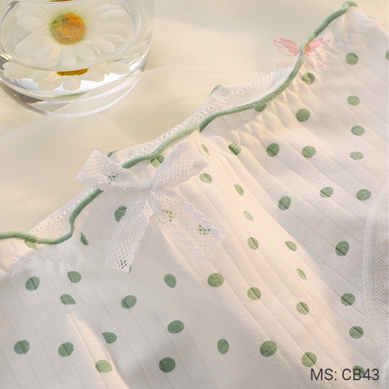 Combo 5 quần lót cotton nữ Vingo CB43 VNGO