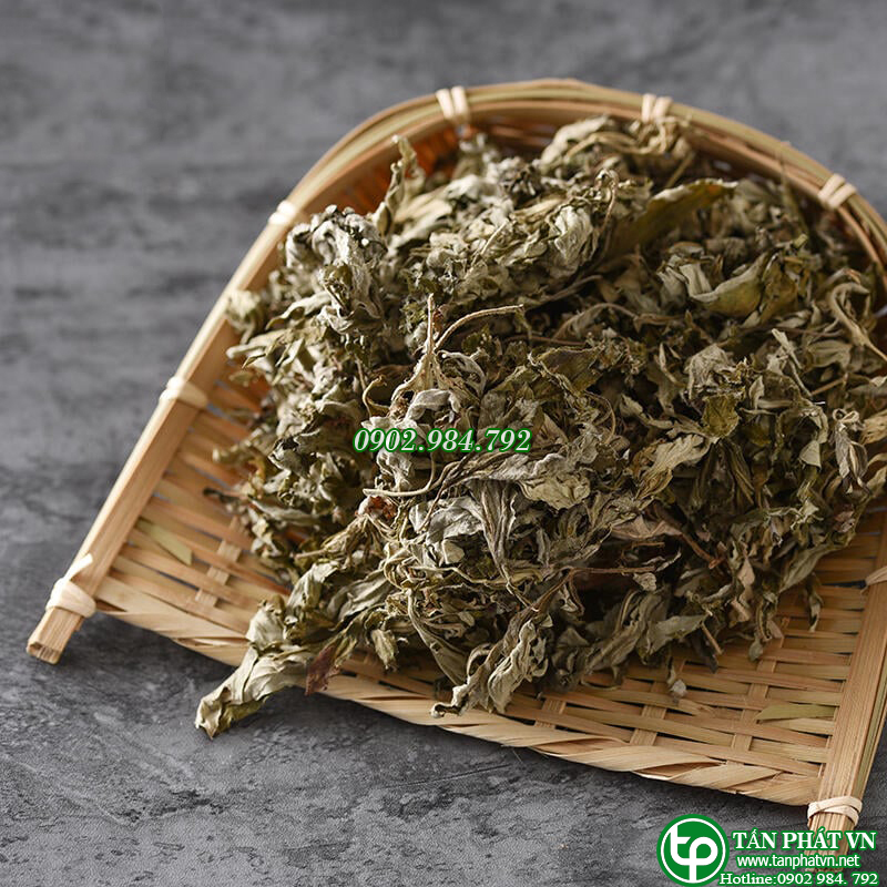 Lá ngải cứu khô 500g - Thảo Dược Tấn Phát