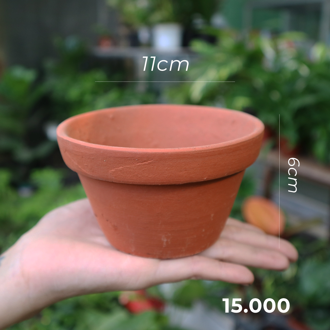 [GÓC THANH LÝ] Chậu đất nung thanh lý cực rẻ nhiều size