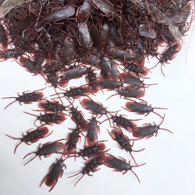 Combo 10 con gián giả nhựa dẻo 5.5cm