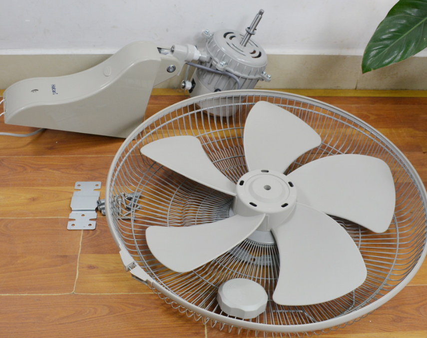 Quạt Treo Tường Hatari IW22M1 ( Thái lan - )