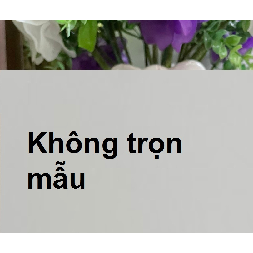 Cóng chim chào mào, Men rạn tàu
