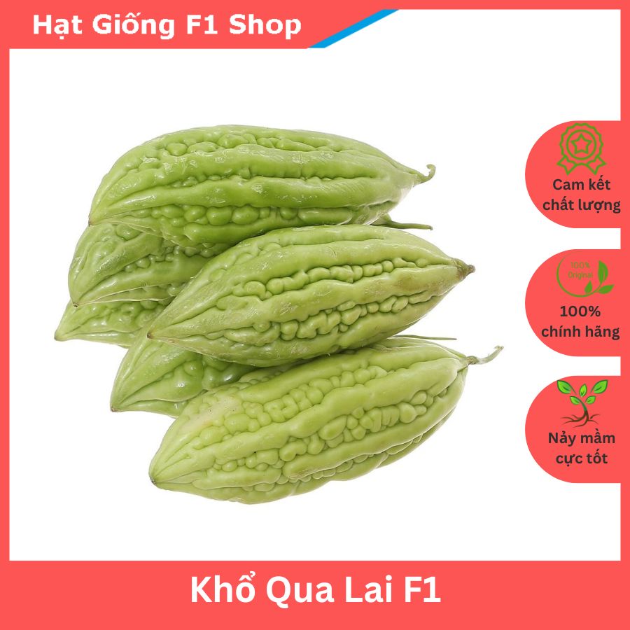 Hạt giống khổ qua lai f1 sai trái