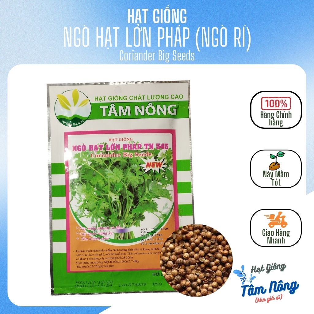 1kg hạt giống ngò hạt lớn pháp tn-545 tâm nông