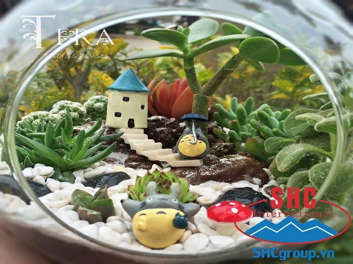 [HCM]2 kg Sỏi trắng trang trí - Size nhỏ hạt bắp tấm KT: 0.3cm 0.5cm (trồng sen đá, xương rồng mini)