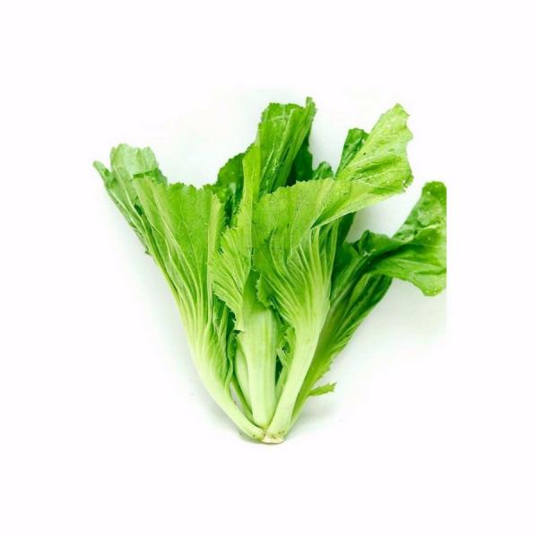 Sale Hạt giống rau cải dưa (cải bẹ đông dư)