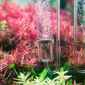 Sủi CO2 NEO Diffuser Aquario chính hãng Hàn Quốc - Sủi CO2 siêu siêu mịn