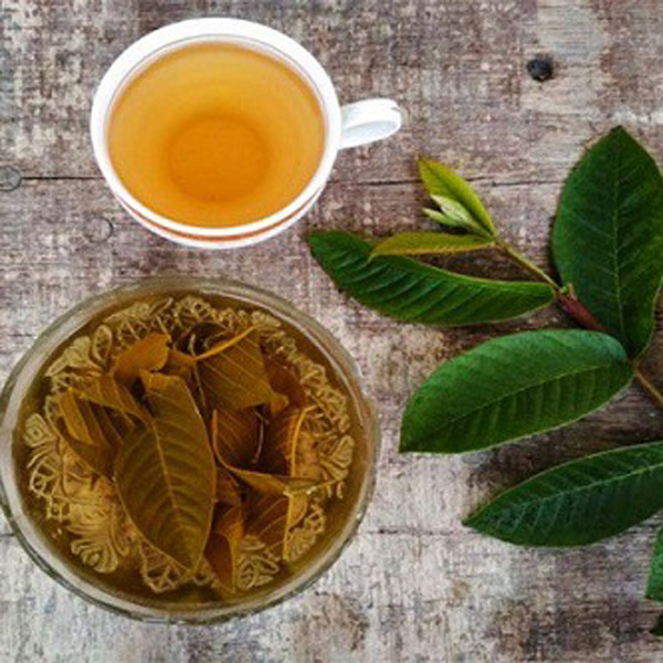 Bột Lá Ổi Nguyên Chất 100g