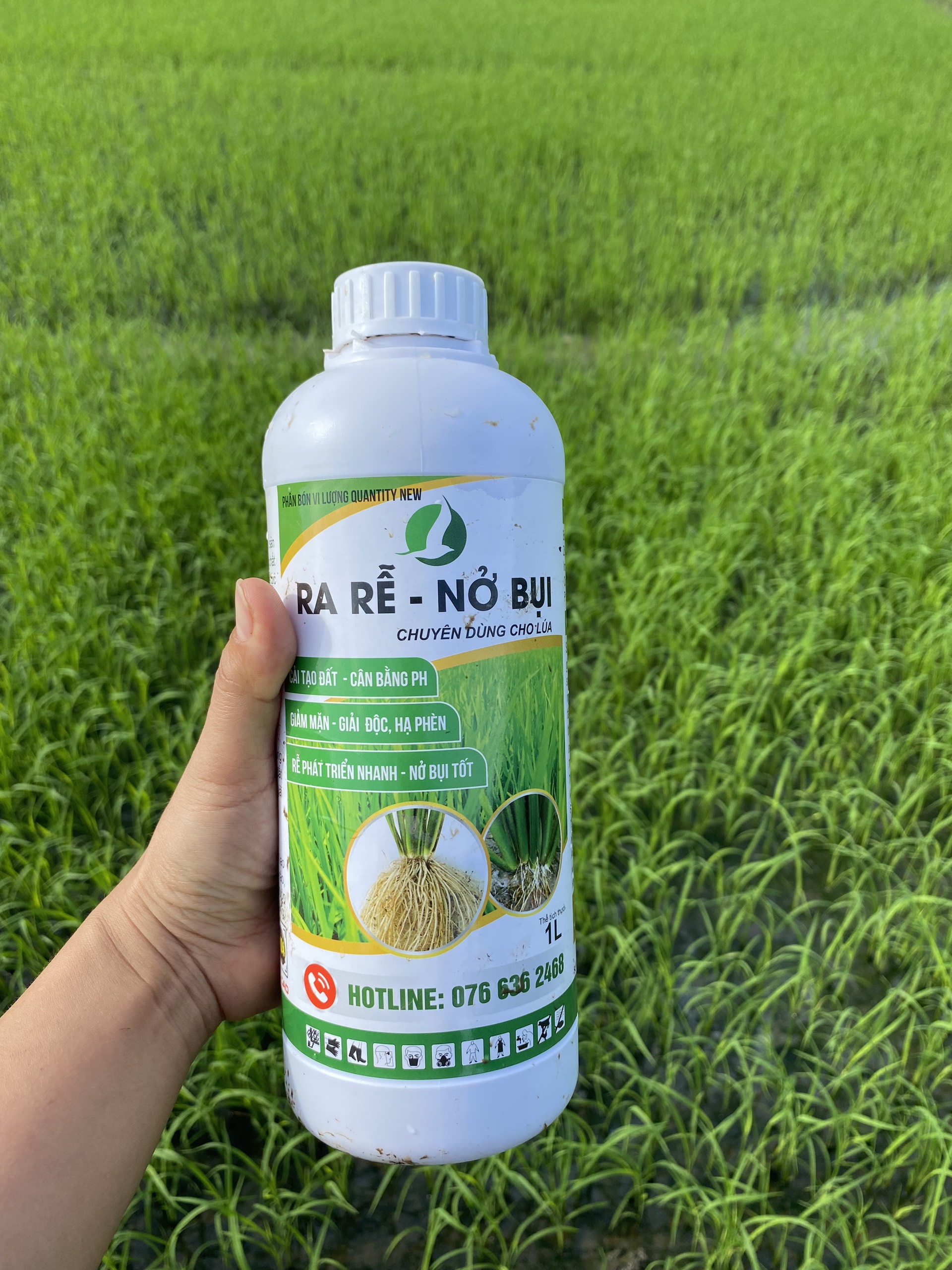 RA RỄ NỞ BỤI - PHÂN BÓN TĂNG TRƯỞNG LÚA - 1L