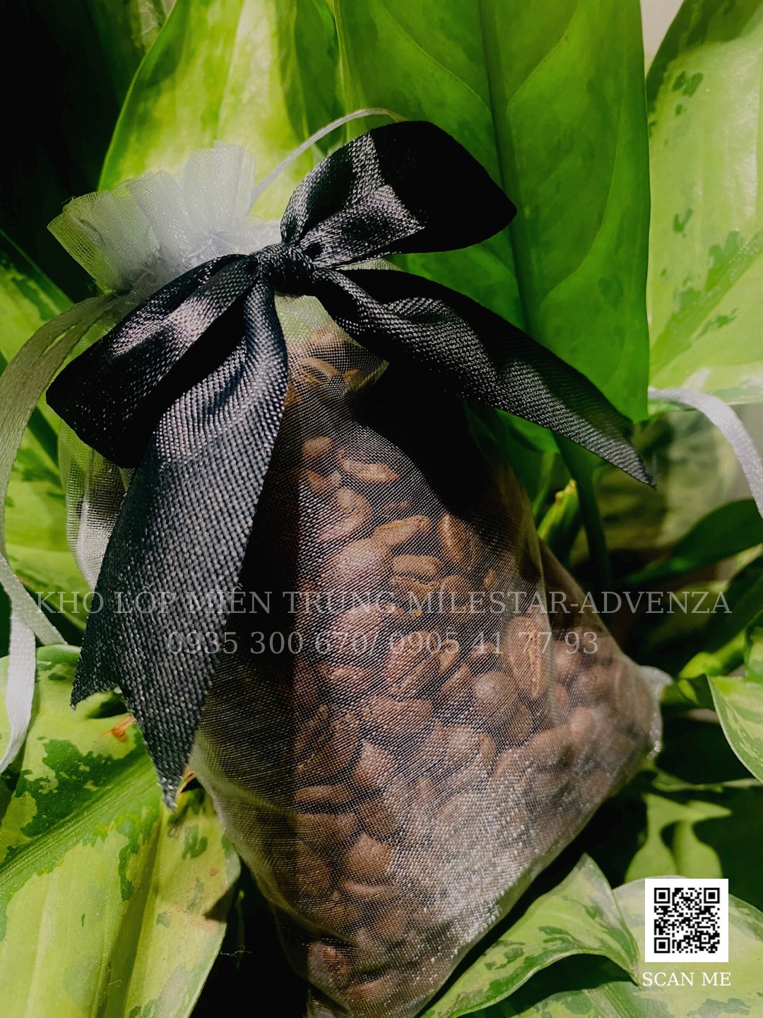 TÚI THƠM HẠT CÀ PHÊ ROBUSTA TREO XE 100G
