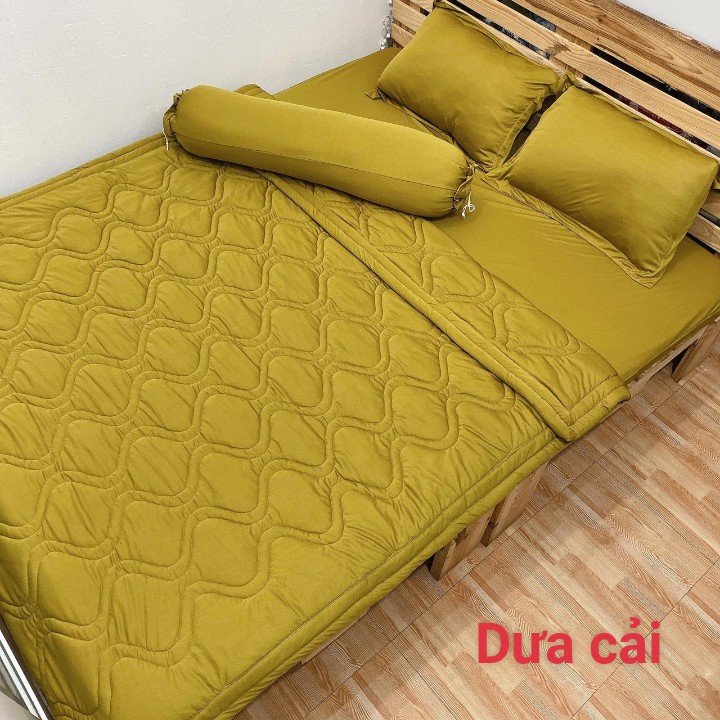 Ga - Drap Giường Lẻ Thun Mát Lạnh Lan Pham Bedding - Màu Dưa Cải