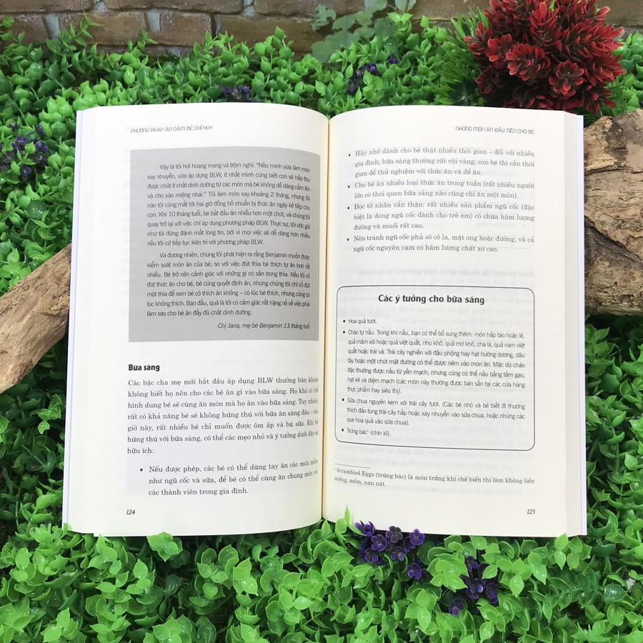 Sách - Phương pháp ăn dặm bé chỉ huy BLW [Thái Hà Books]