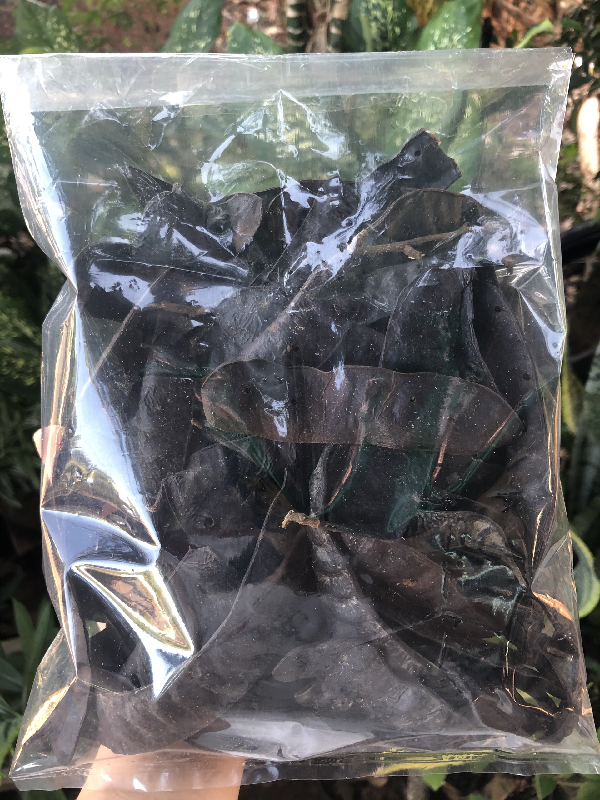 200g Bồ kết trái khô