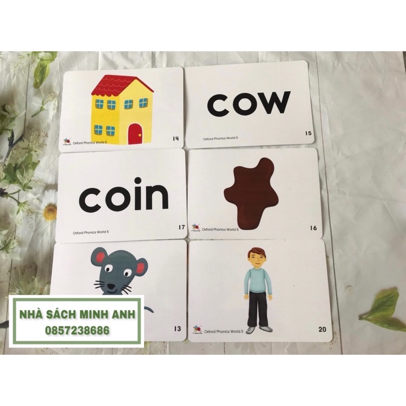 Flashcard OXFORD PHONICS WORLD 5-96 thẻ (khổ A5-cán bóng)